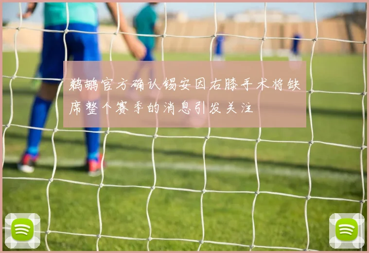鹈鹕官方确认锡安因右膝手术将缺席整个赛季的消息引发关注