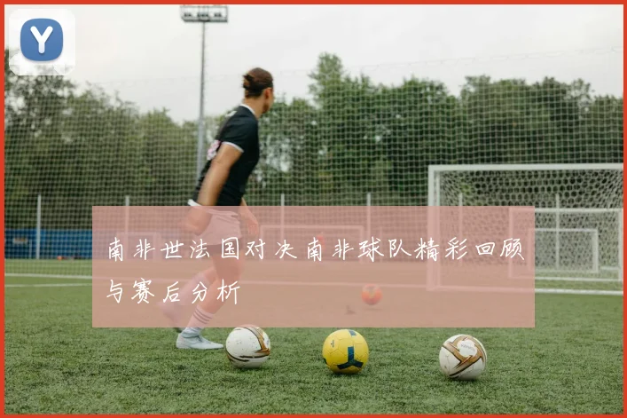 南非世法国对决南非球队精彩回顾与赛后分析
