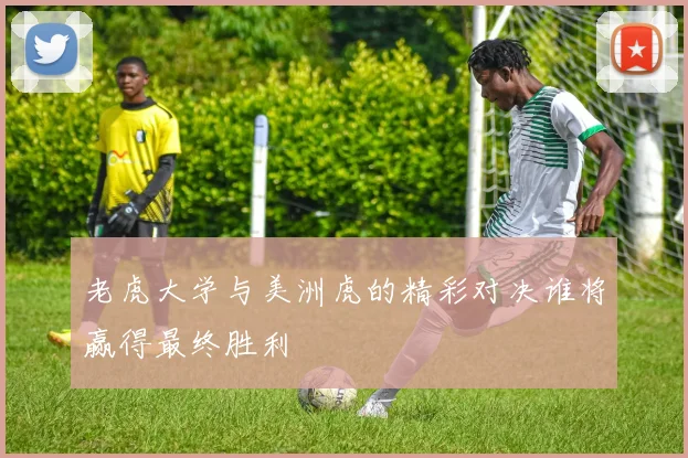 老虎大学与美洲虎的精彩对决谁将赢得最终胜利